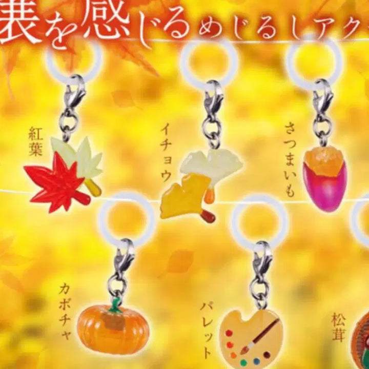 [BUNJANG] Autumn Maple Leaf Ginkgo Leaf Bookmark Gacha Set / 가을 단풍잎, 은행잎 메지루시 가챠