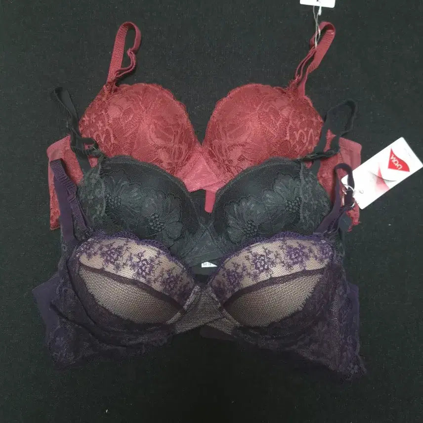 [BUNJANG] Sans Complexe Bra 3-Piece Set / [85B] 샹콤플렉스(Sans Complexe)  브라 3종