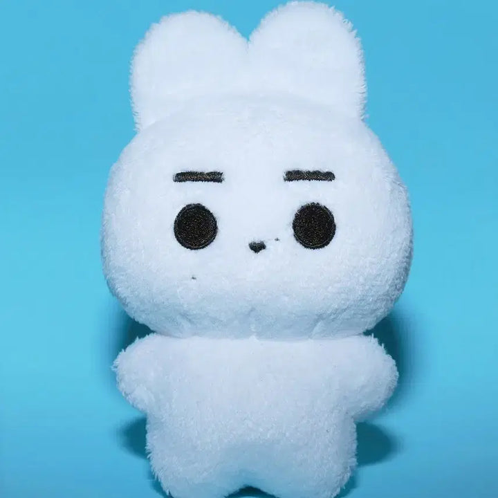 [BUNJANG] ENHYPEN Sunghoon Hongki Doll / 훙끼  판택포