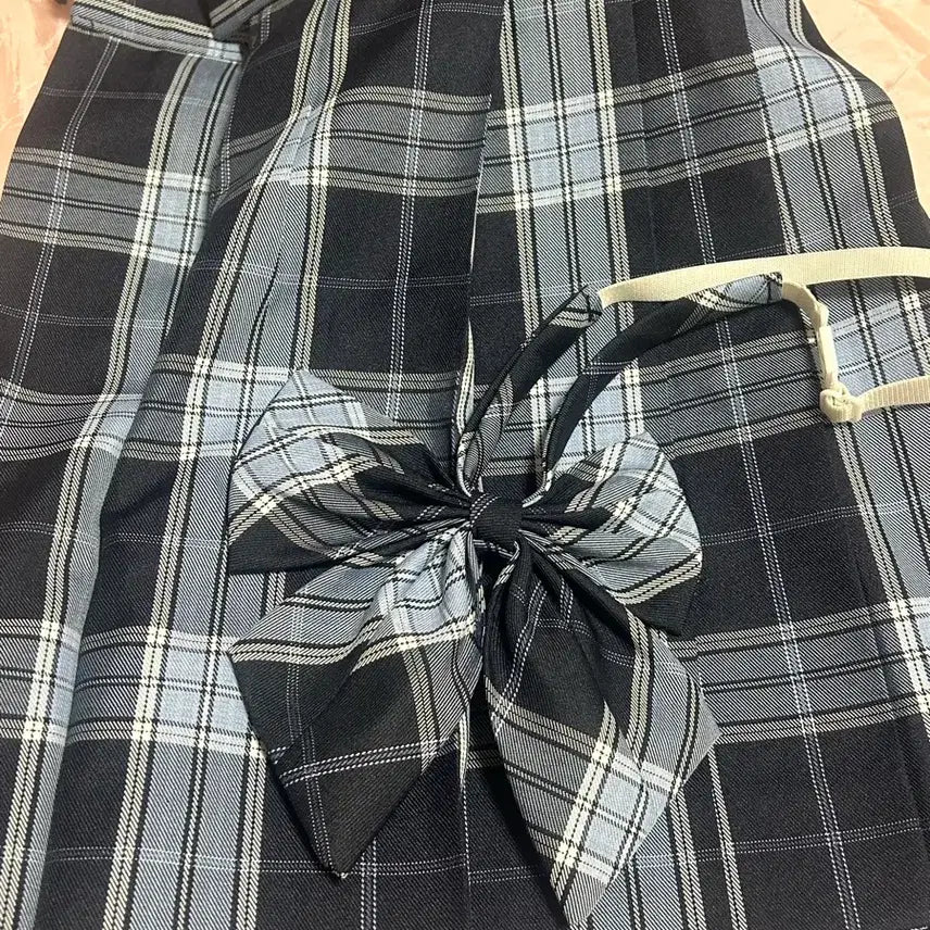 [BUNJANG] School Uniform Style Checkered Skirt Set / 체크 스커트 교복 스타일 스쿨룩 세트(치마, 리본)