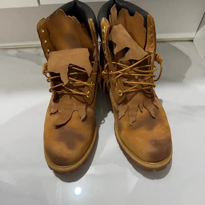 [BUNJANG] Timberland x Surgery 6-Inch Boots / 팀버랜드 써저리 6인치 부츠