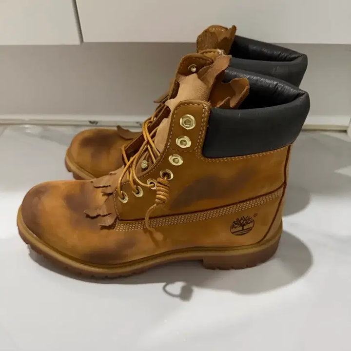 [BUNJANG] Timberland x Surgery 6-Inch Boots / 팀버랜드 써저리 6인치 부츠