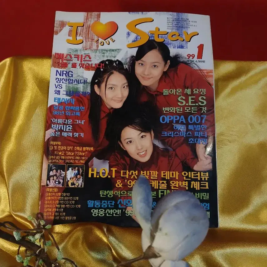 [BUNJANG] 1991년 스타 화보집 / 1991년 스타 화보집