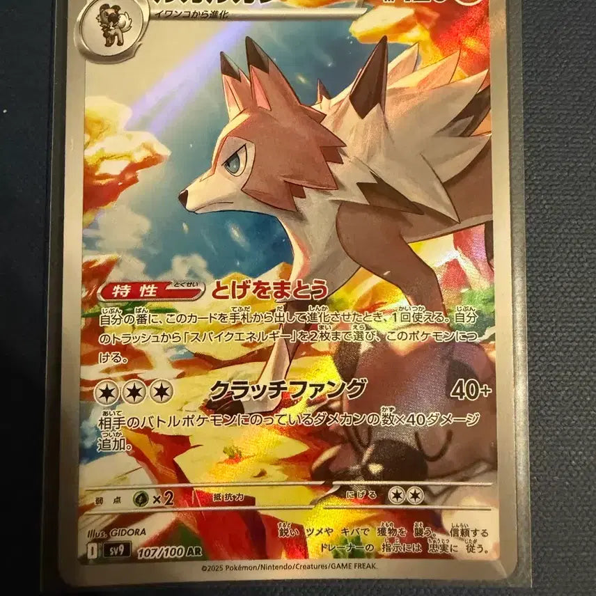 [BUNJANG] Pokemon Trading Card / 일판 ar 포켓몬카드