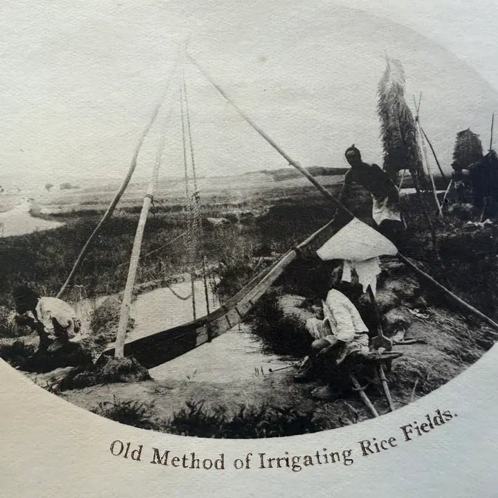 [BUNJANG] 1920s Korean Irrigation System Comparison / 1920년 - 근대기 수리 시설 농업 용수 전통적 근대적 논 관개 시설