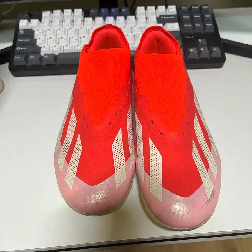 [BUNJANG] Adidas Crazy Fast Soccer Cleats / 아디다스 크레이지 페스트 축구화