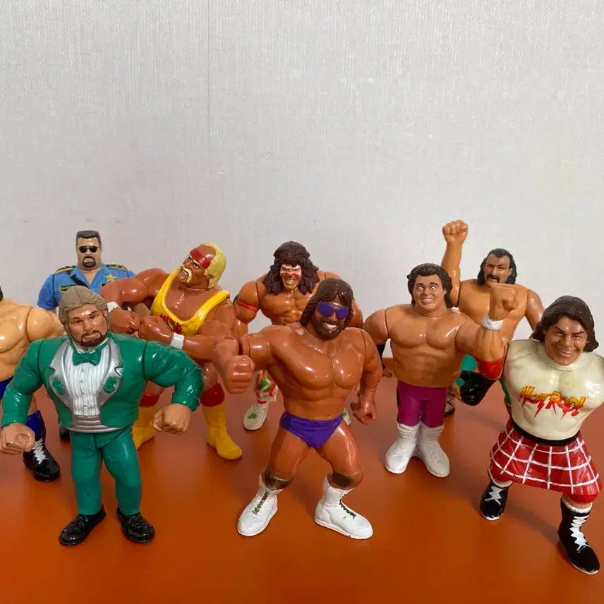 [BUNJANG] Hasbro WWF Wrestler Action Figure Set / 프로레슬링 영실업 하스브로 WWF 레슬러 액션 피규어 9세트