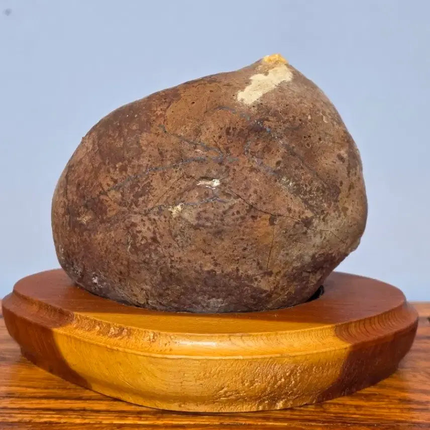 [BUNJANG] Mineral Stone Specimen / 26040709 크림빵처럼 변화가 좋은 광물 원석 수석 팝니다