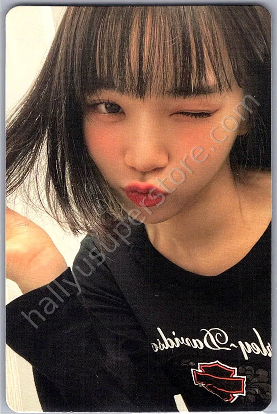 LE SSERAFIM - Kim Chaewon - 2023 FEARNOT Membership Kit kit photocard membership photocard set