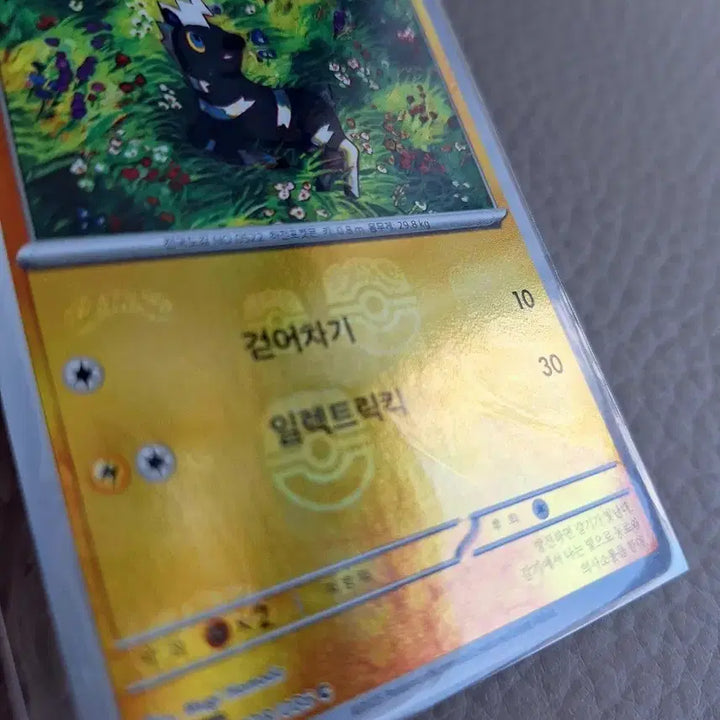 [BUNJANG] Pokemon Jumyumma Master Ball Card / 포켓몬 카드 줄뮤마 마스터볼