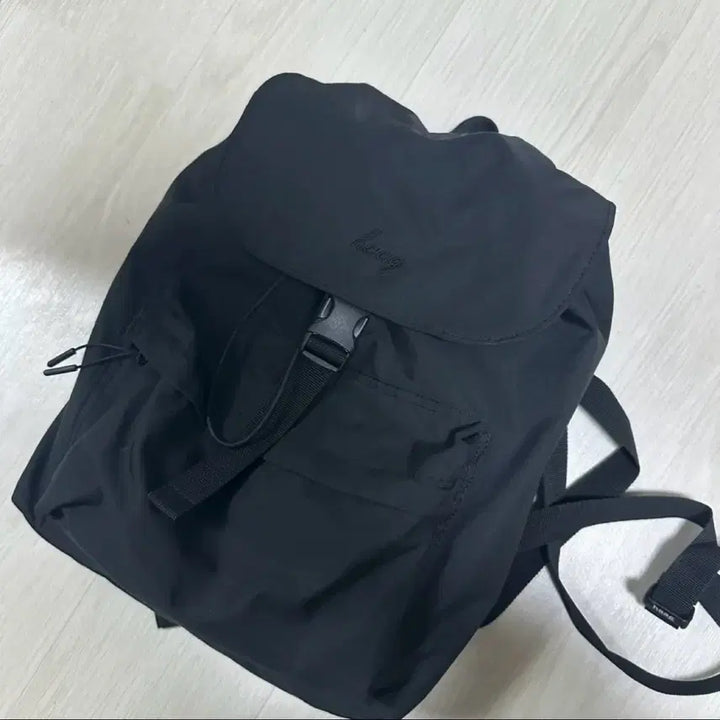 [BUNJANG] Haig Backpack / 헤이그 백팩(한번착용)