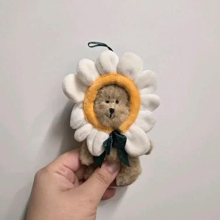 [BUNJANG] Boysbear Daisy Choccomi Plush / 보이즈베어 데이지 쪼꼬미