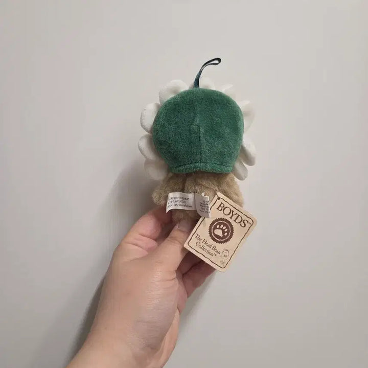 [BUNJANG] Boysbear Daisy Choccomi Plush / 보이즈베어 데이지 쪼꼬미