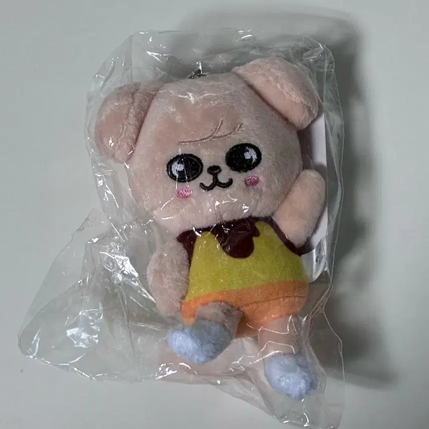 [SOLD OUT] 스키즈 일본 푸딩 퍼핌 미개봉