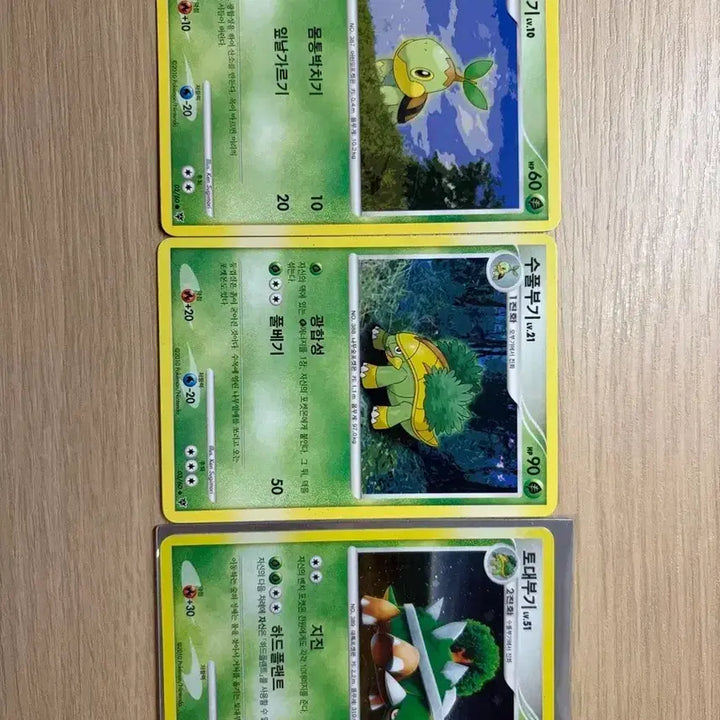 [BUNJANG] Pokemon Torterra LV Card Bundle / 일괄판매)포켓몬카드 토대부기 LV 카드 일괄