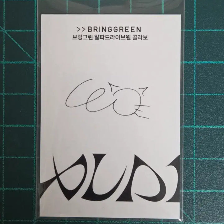 [SOLD OUT] 알디원 브링그린 리오 포카
