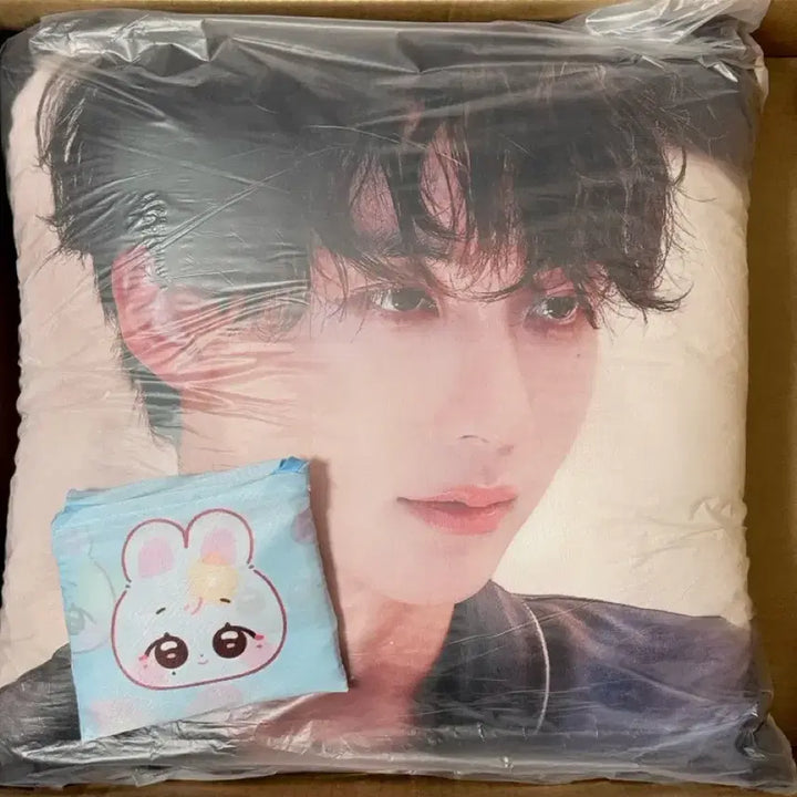 [SOLD OUT] 세븐틴 정한 대형쿠션 &amp; 바쿠백 생일카페 생카 하니랜드