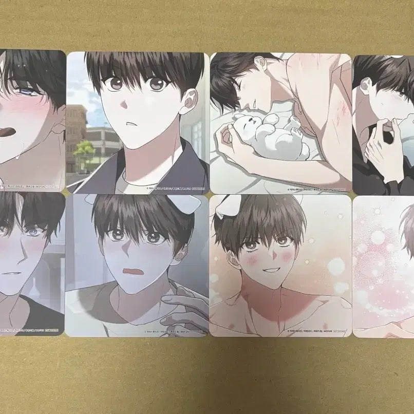 [SOLD OUT] 모펀 강아지는건드리지마라 강건마 음료특전 코스터 올클 풀셋 8종 일괄