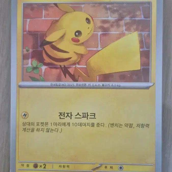 [BUNJANG] Pokemon Pikachu Card Collection / 여러 피카츄 포켓몬 카드 판매합니다!