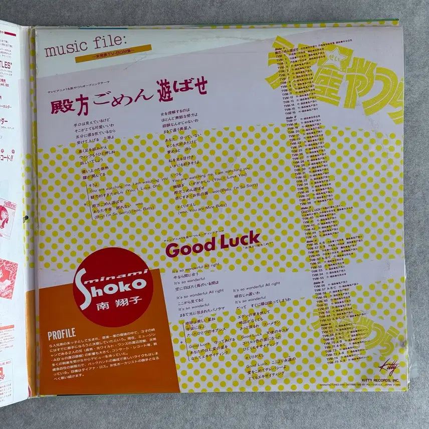 [SOLD OUT] 시끌별 녀석들 LP