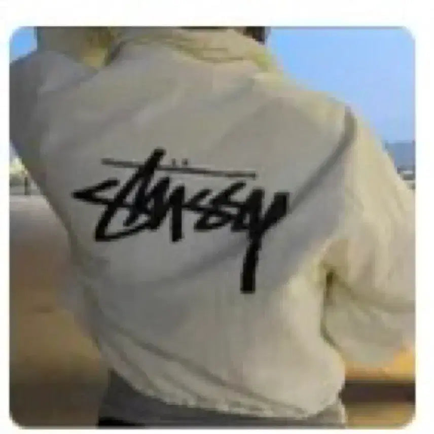 [BUNJANG] Stüssy Cropped Distressed Vintage Jumper Jacket / 스투시 크롭 구제 점퍼 자켓