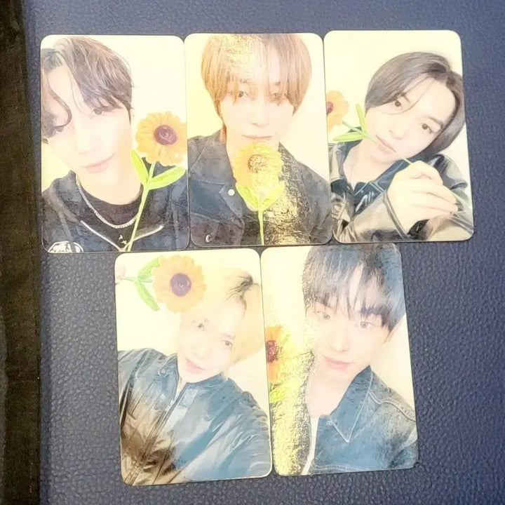 [BUNJANG] KEYVITUP Photocard Set / KEYVITUP 키빗업 포카 세트