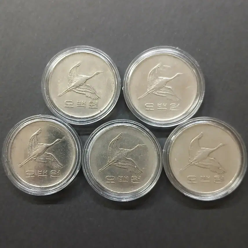 [BUNJANG] 1983-1984 Used 500 Won Coin Bundle Set (5 Coins) / 1983~1984 사용제 500원/주 5개 일괄