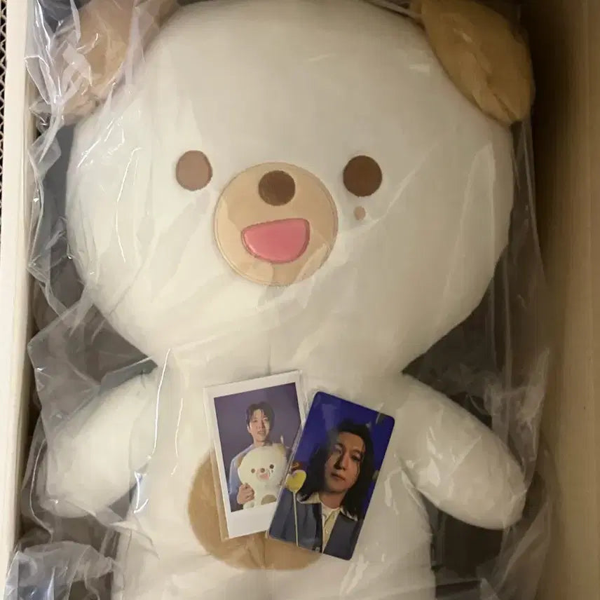 [SOLD OUT] 데이식스 도운 자이언트 쁘띠멀즈 데니멀즈 돈 미개봉