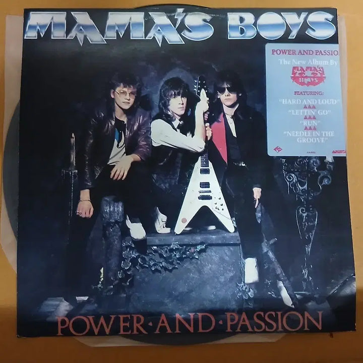 [BUNJANG] Mamas Boyz Power and Passion LP / 마마스보이즈 Power and Passion 준판 LP