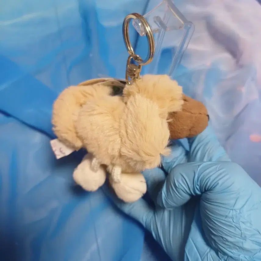 [BUNJANG] NICI Poodle Classic Keychain / 고전 nici 키링 푸들