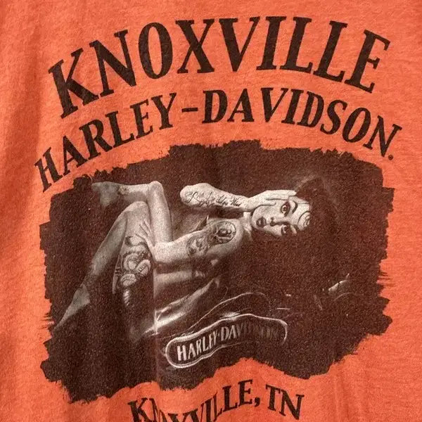 [BUNJANG] Harley-Davidson Graphic T-Shirt XL / [XL] HARLEY-DAVIDSON 할리데이비슨 그래픽 반팔티