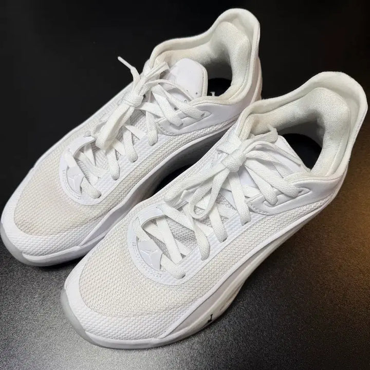 [BUNJANG] Jordan Luka 5 PF 270mm / 조던 루카 5 pf 270mm
