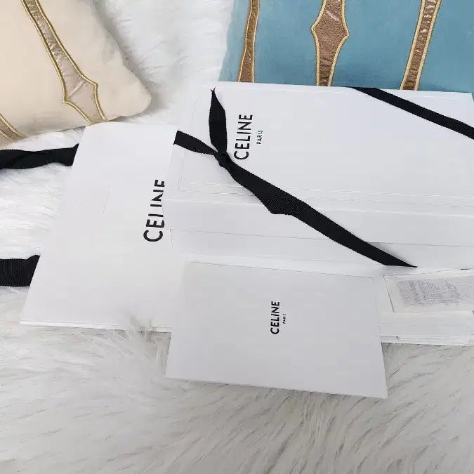 [BUNJANG] Celine Phone Pouch and Box Set / 5-3)셀린느WOC 체인미니백박스 폰파우치박스체인지갑박스