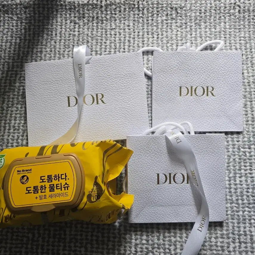 [BUNJANG] Dior Shopping Bag / 디올 쇼핑백