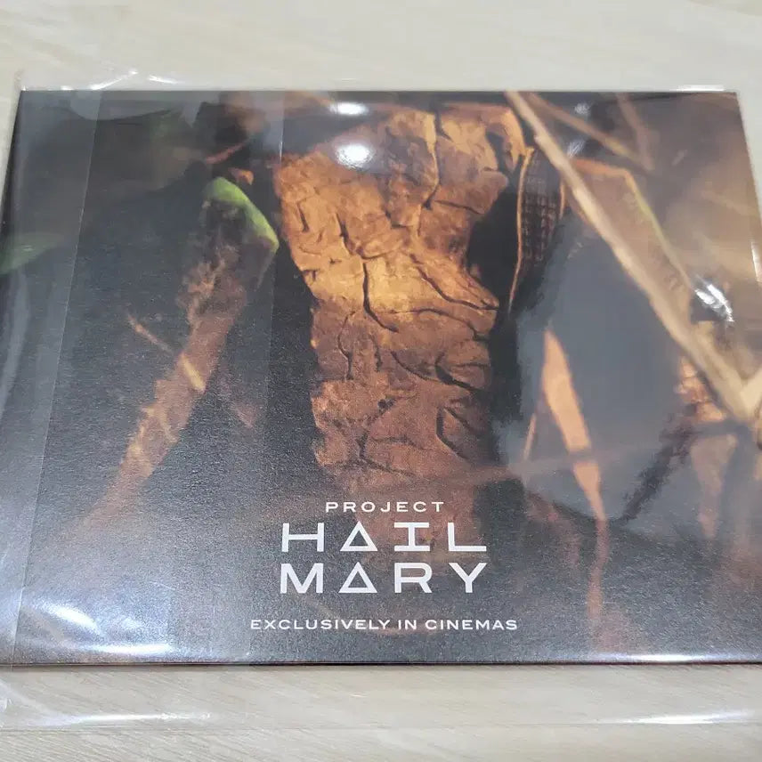 [SOLD OUT] [안전포장] 프로젝트헤일메리 아코디언 엽서