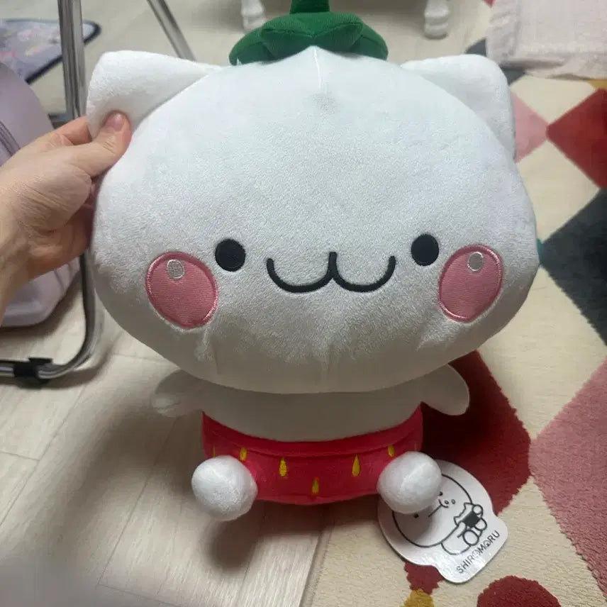 [BUNJANG] Shiromaru Strawberry Plush Doll / 시로마루 딸기 인형 봉제인형