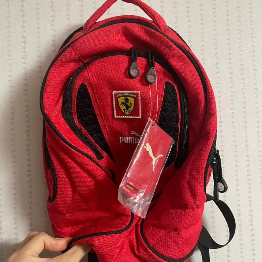 [BUNJANG] Ferrari Puma Collaboration Backpack / 페라리 푸마 콜라보 백팩