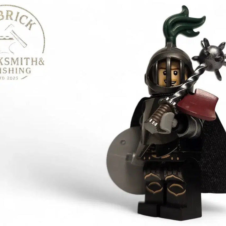 [BUNJANG] LEGO Kingdom Diorama Dragon "Helm Knight" Custom Build / 레고 킹덤 디오라마 드래곤 "헬름기사"