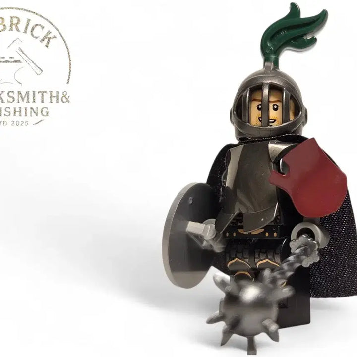 [BUNJANG] LEGO Kingdom Diorama Dragon "Helm Knight" Custom Build / 레고 킹덤 디오라마 드래곤 "헬름기사"