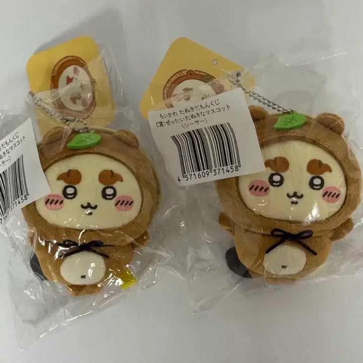 [BUNJANG] Chiikawa Nekojarashi Kuji C Prize Nekojarashi Plush / 너구리 쿠지 치이카와 쿠지 c상 너구리 시사
