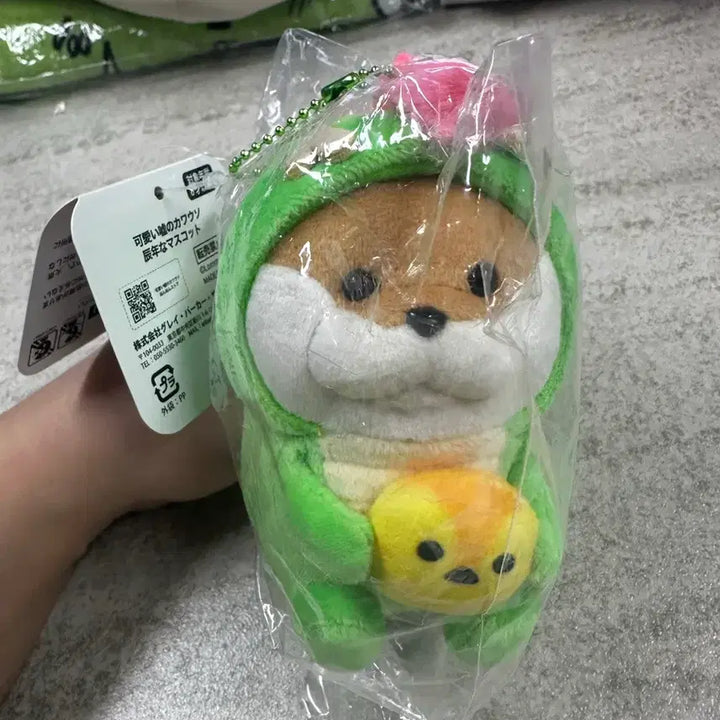 [SOLD OUT] 카와우소 용 옷