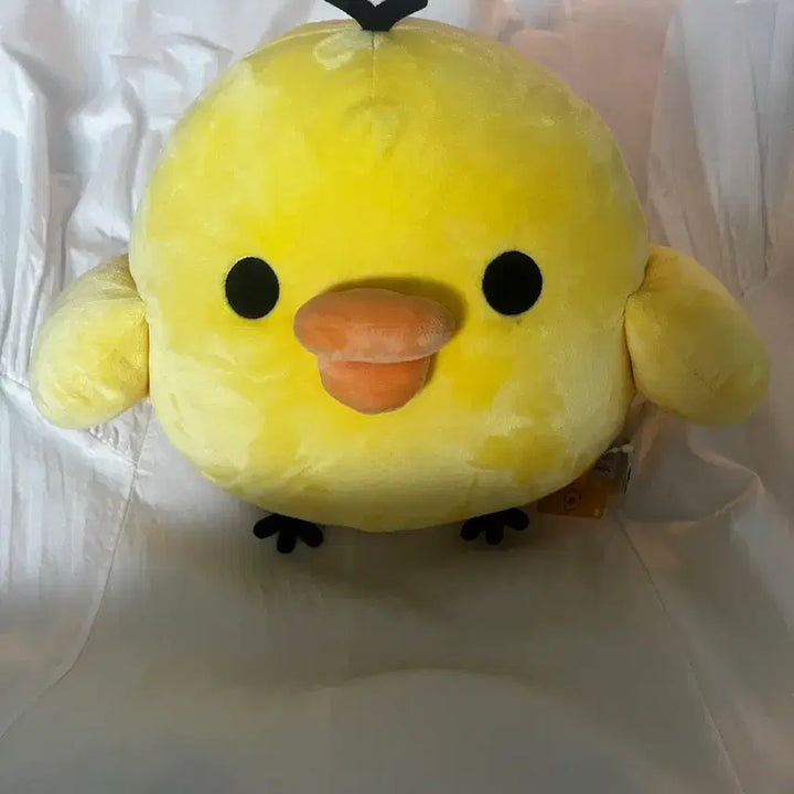 [BUNJANG] Kiiroitori Plush Doll / 키이로이토리 인형