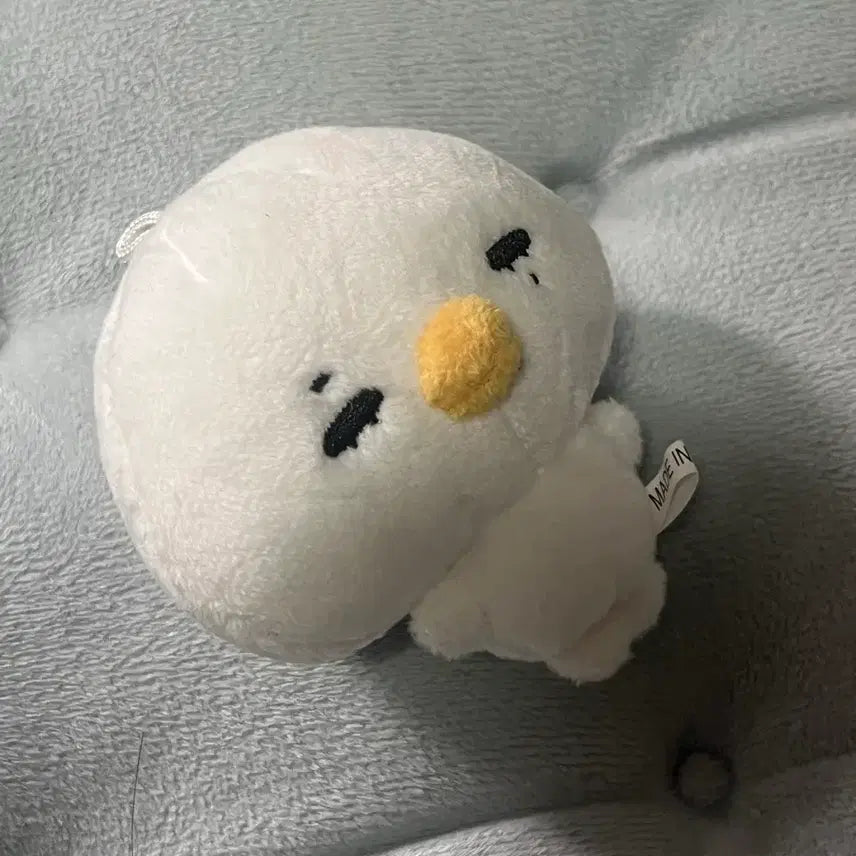 [SOLD OUT] 외출 경험이 있는 용감한 닠만두