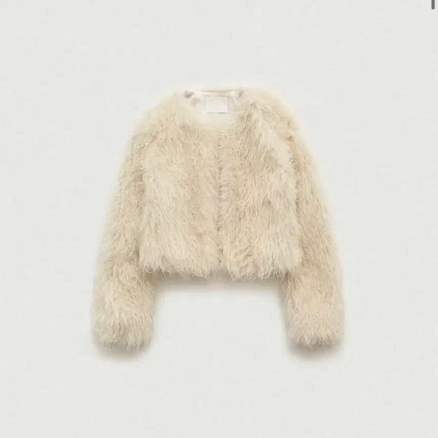 [BUNJANG] The Barnet Rotte Hairy Fur Jacket / 더바넷 Rotte Hairy Fur Jacket