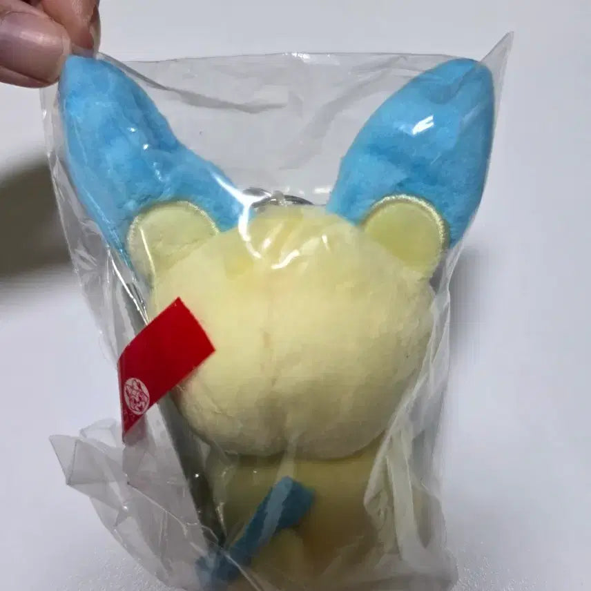 [BUNJANG] Pokemon Maimai Keyring New / 포켓몬 마이농 키링 새상품