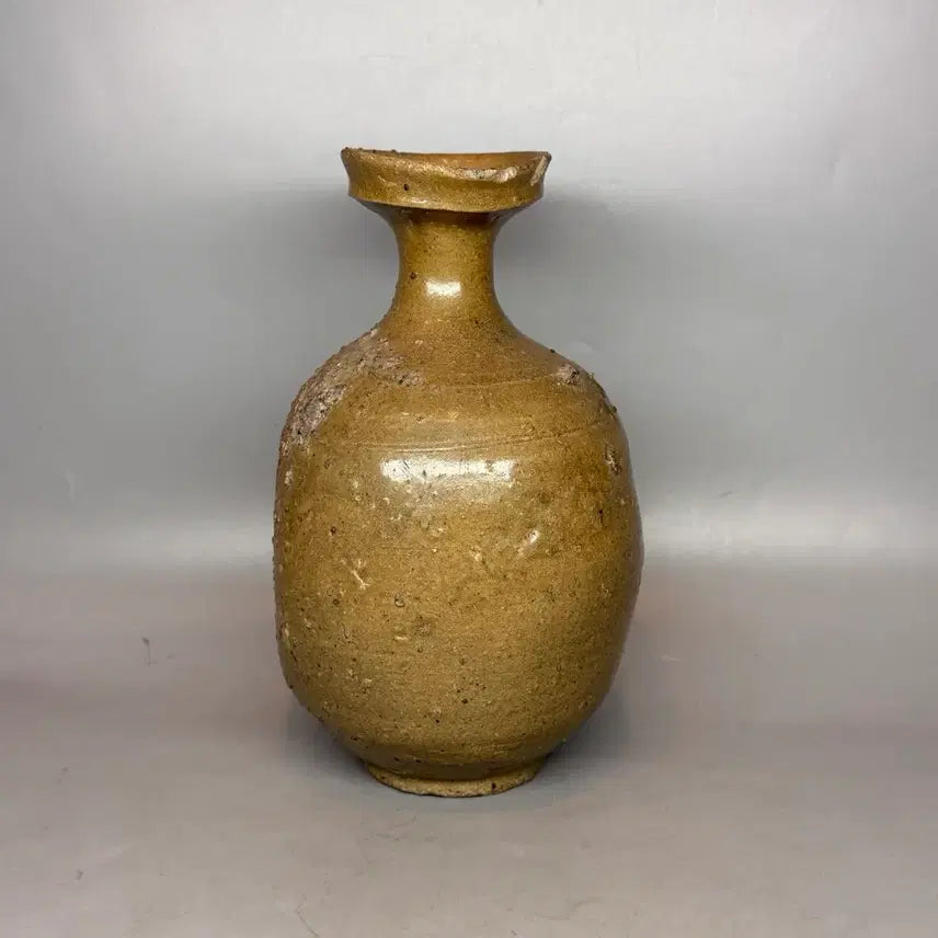 [BUNJANG] Goryeo Celadon Wide-Mouthed Flask Vase / 고려청자 광구병 편병