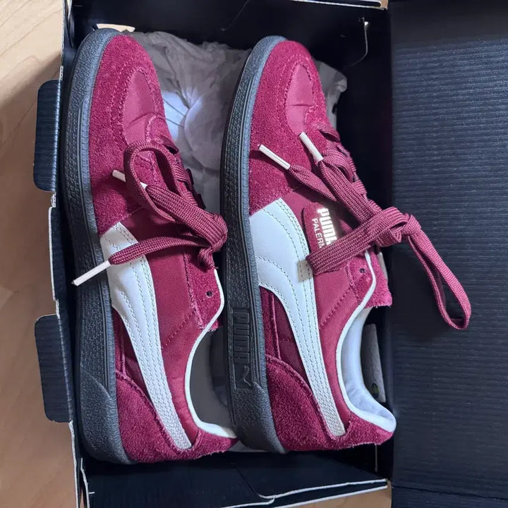 [BUNJANG] Puma Palermo Red Warm White Sneakers / 푸마 팔레르모 레드 웜화이트 240