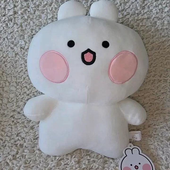 [BUNJANG] Bunny &amp; Bear Character Plush Doll / (택o) 토끼찡 곰돌찡 토끼찡 캐릭터 봉제인형