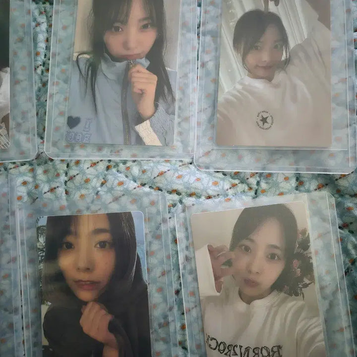 [BUNJANG] QWER Pop-up Exhibition Apparel Photocard Bundle Set / qwer 팝업 시연 의류 포카 일괄 판매(개별 X)