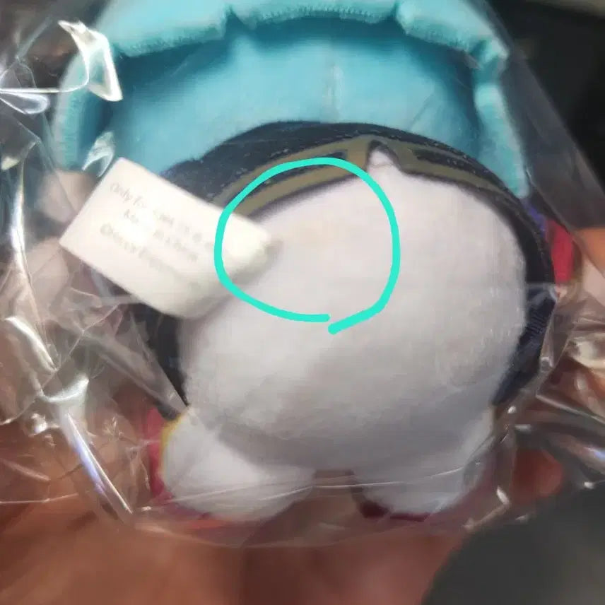[SOLD OUT] 앙스타 하지메 드림누이